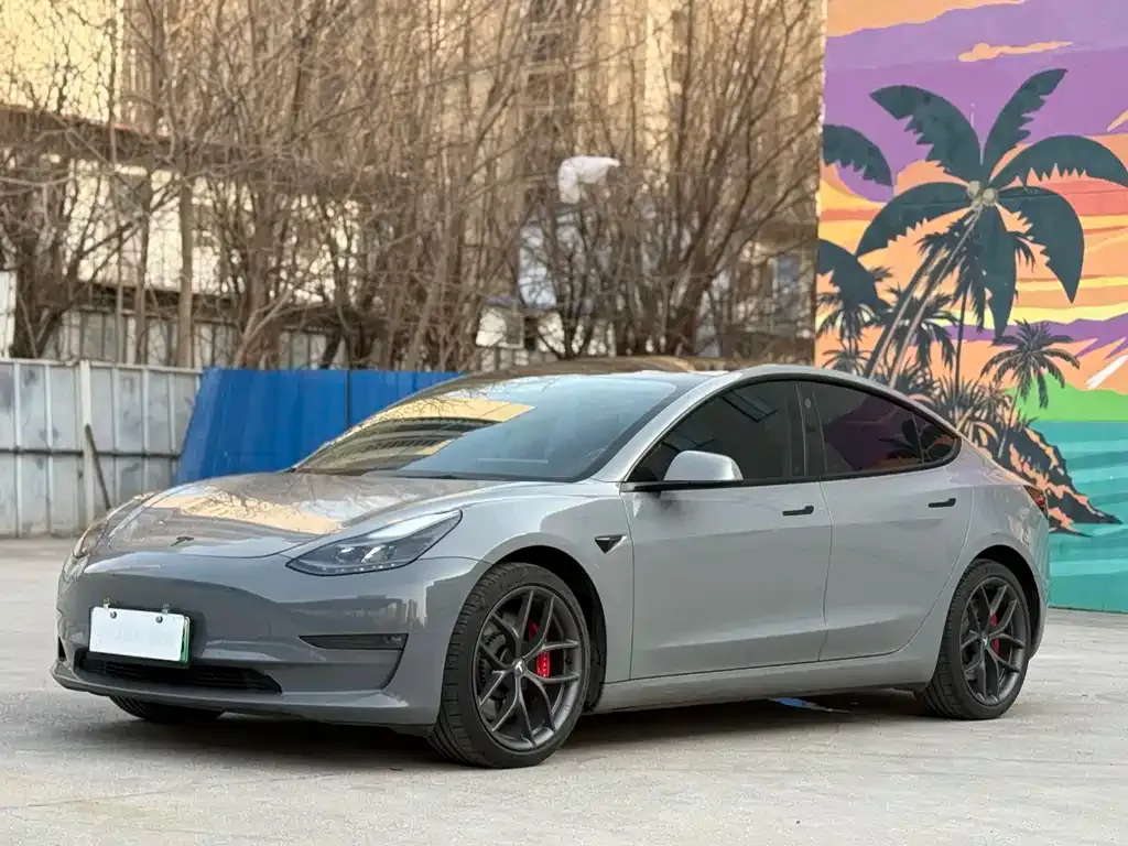 Tesla Model 3 2021 из CN, фото 1