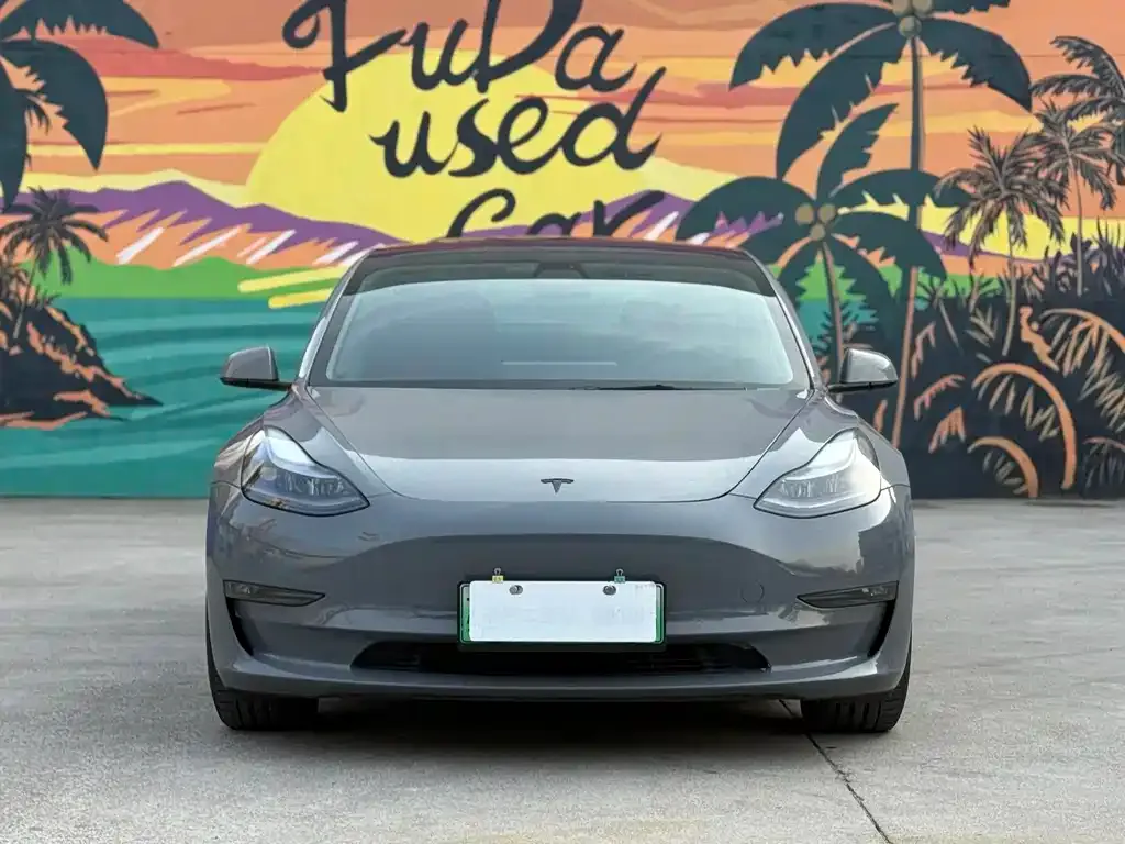 Tesla Model 3 2021 из CN, фото 8