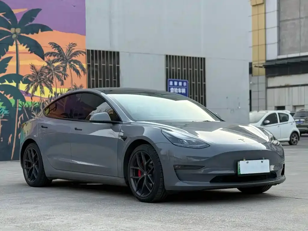 Tesla Model 3 2021 из CN, фото 3
