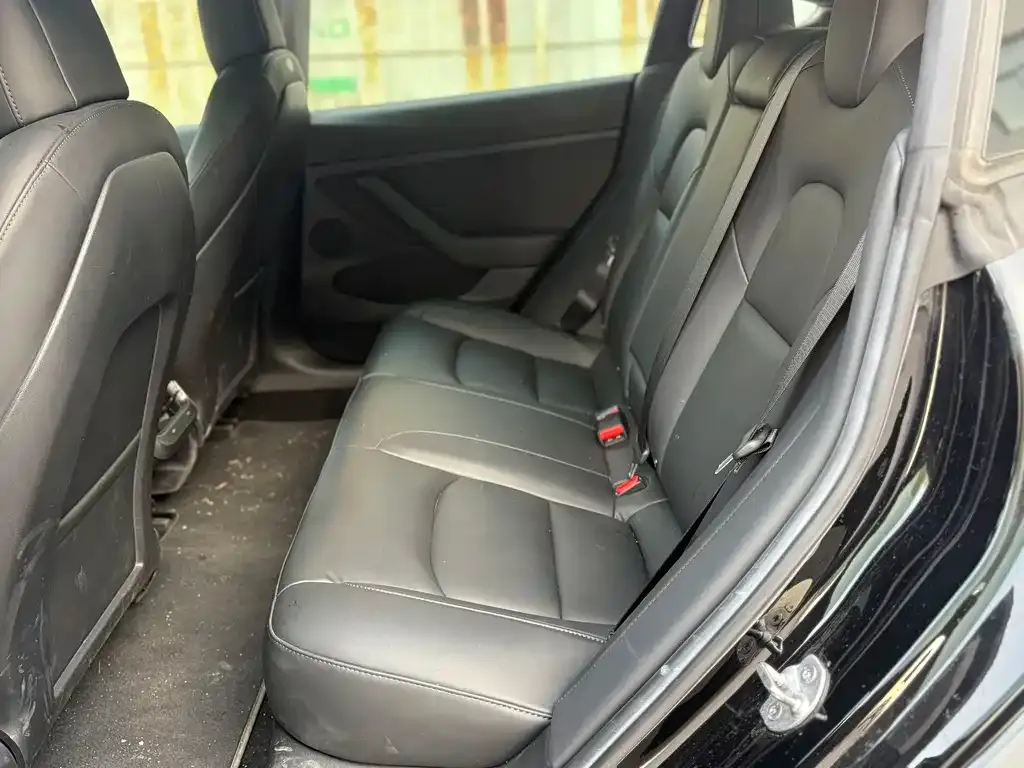 Tesla Model 3 2021 из CN, фото 4
