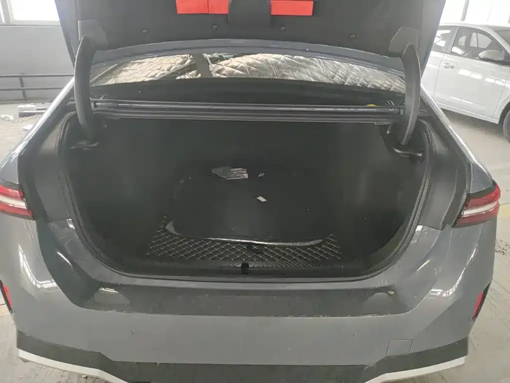 BMW 5 Series 2024 из CN, фото 4