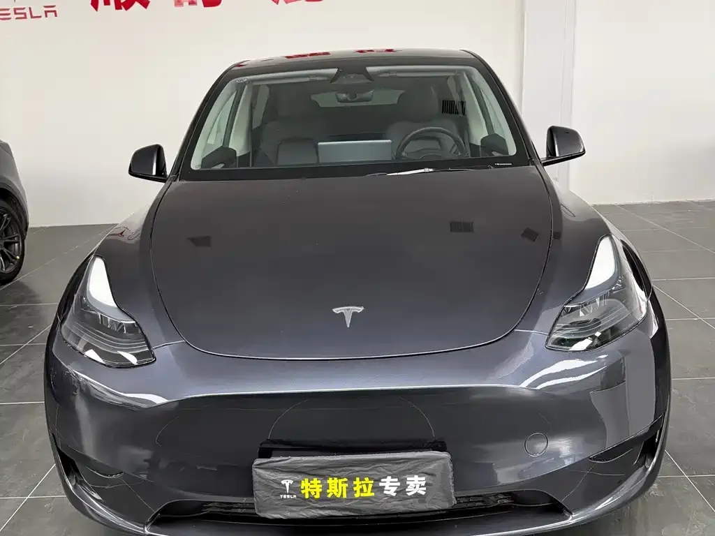 Tesla Model Y 2024 из CN, фото 9