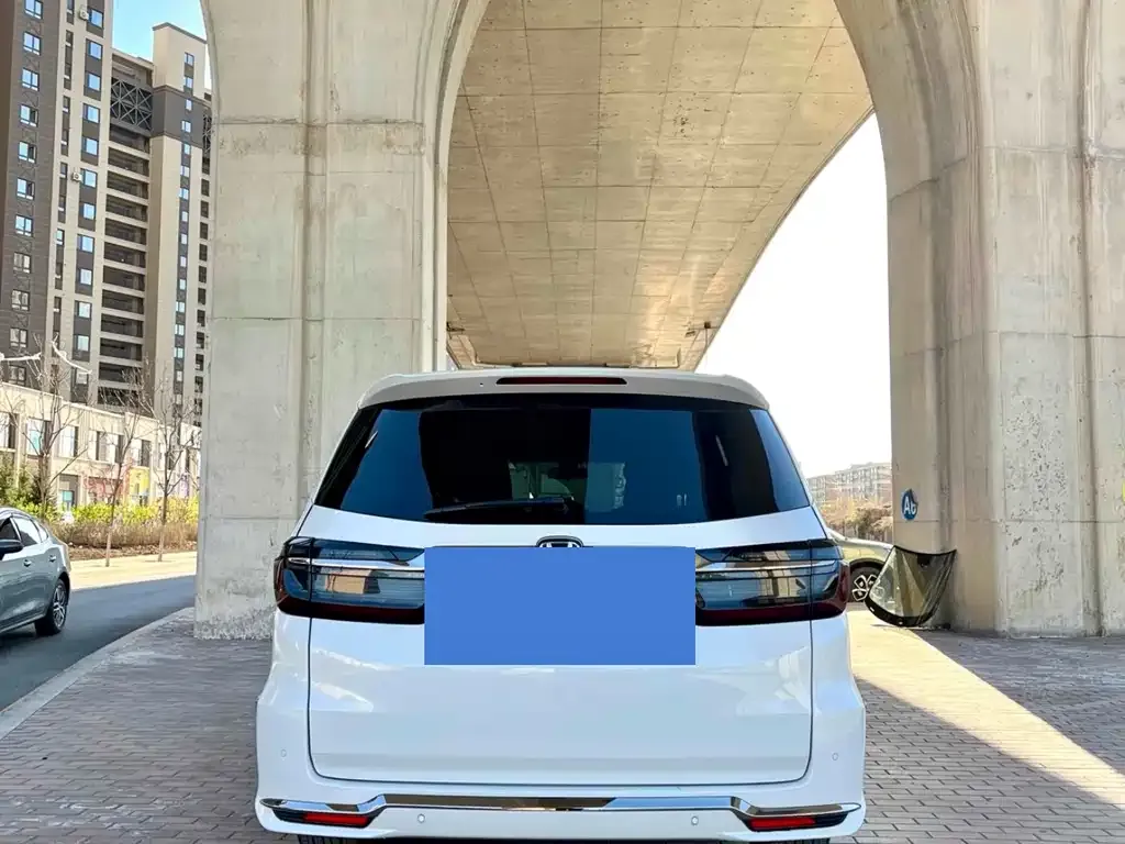 Honda Elysion 2023 из CN, фото 4