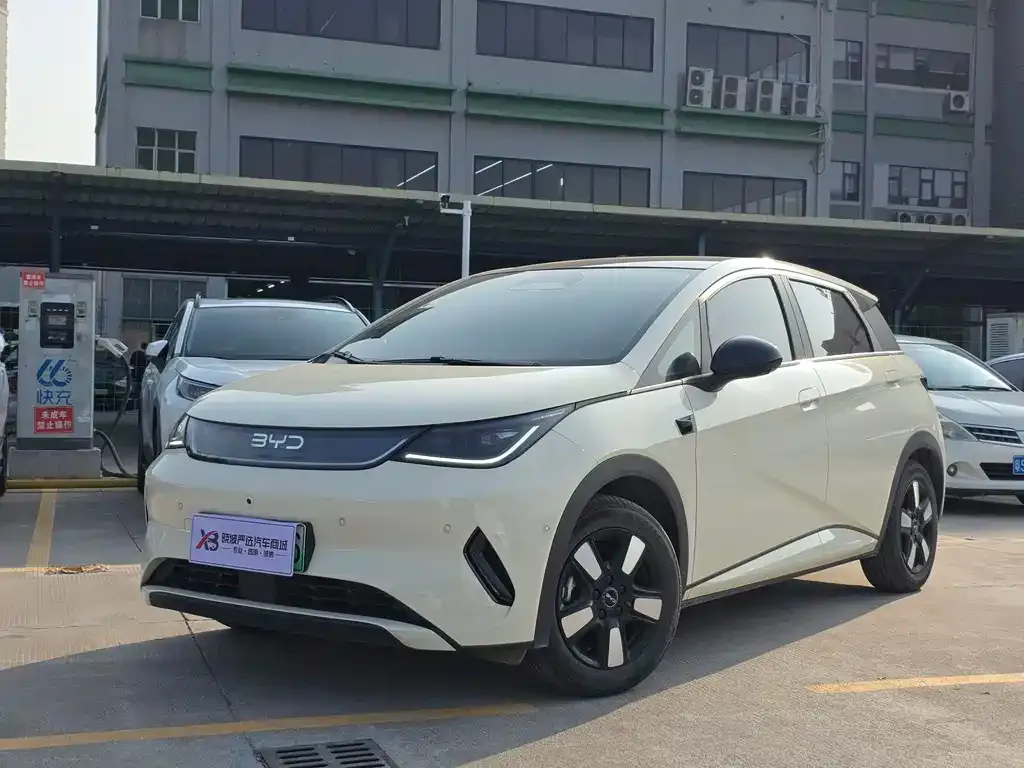 BYD Dolphin 2025 из CN, фото 1