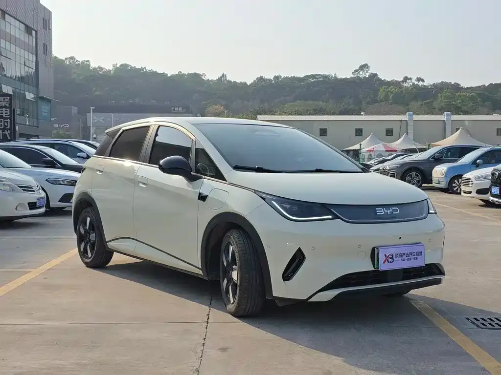 BYD Dolphin 2025 из CN, фото 2