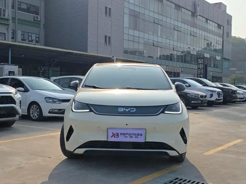 BYD Dolphin 2025 из CN, фото 5