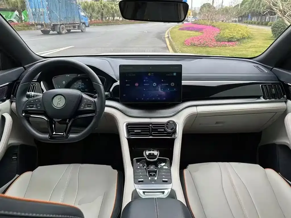 BYD PLUS New Energy 2022 из CN, фото 4