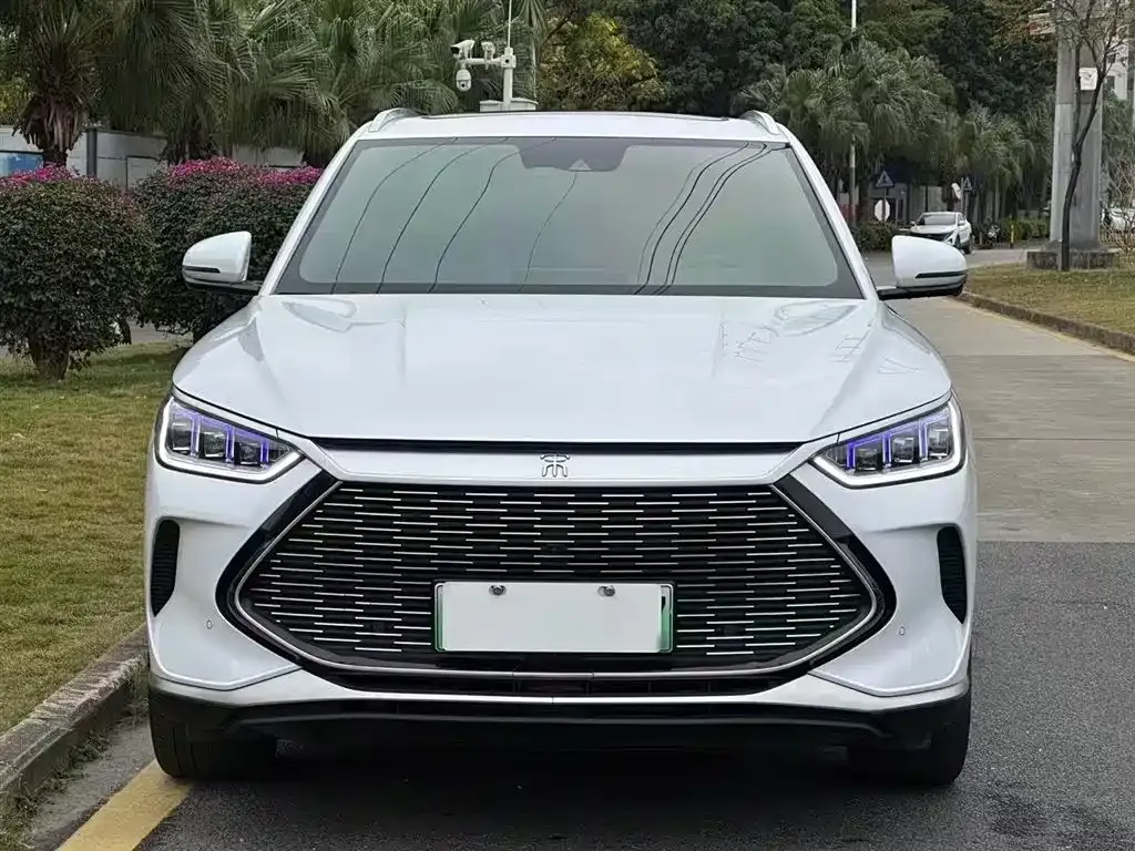 BYD PLUS New Energy 2022 из CN, фото 7