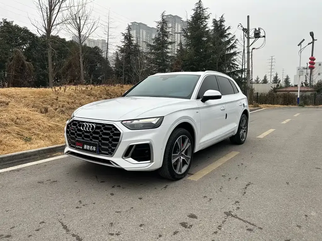 Audi Q5L 2021 из CN, фото 1
