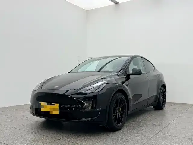 Tesla Model Y 2021 из CN, фото 1