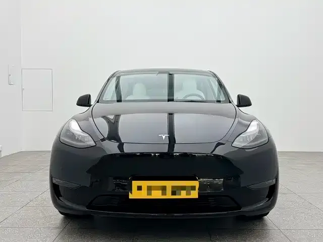 Tesla Model Y 2021 из CN, фото 2