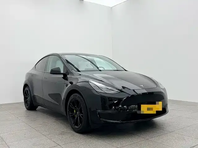Tesla Model Y 2021 из CN, фото 3