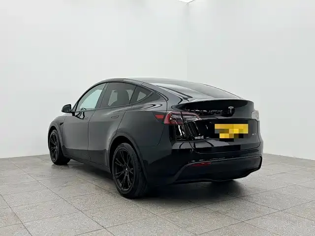 Tesla Model Y 2021 из CN, фото 9