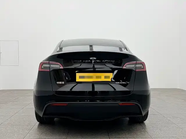 Tesla Model Y 2021 из CN, фото 7