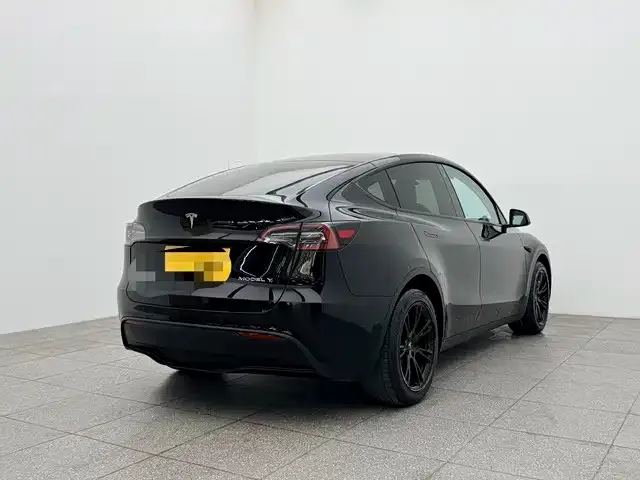 Tesla Model Y 2021 из CN, фото 10