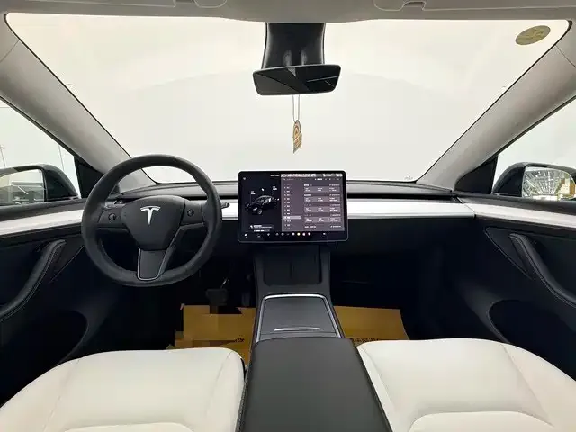Tesla Model Y 2021 из CN, фото 6