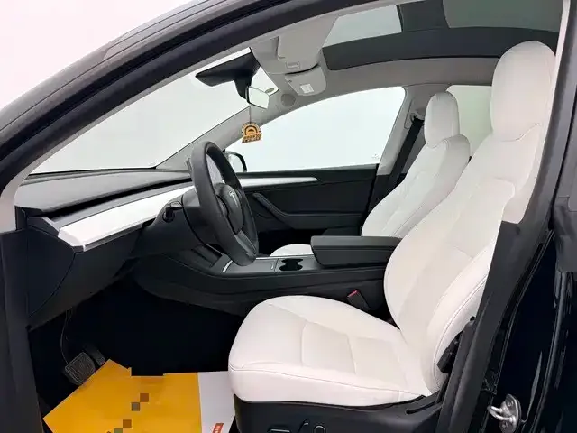 Tesla Model Y 2021 из CN, фото 8