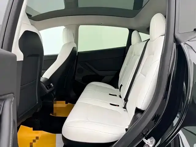 Tesla Model Y 2021 из CN, фото 4