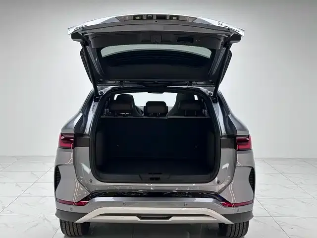 BYD PLUS New Energy 2025 из CN, фото 4