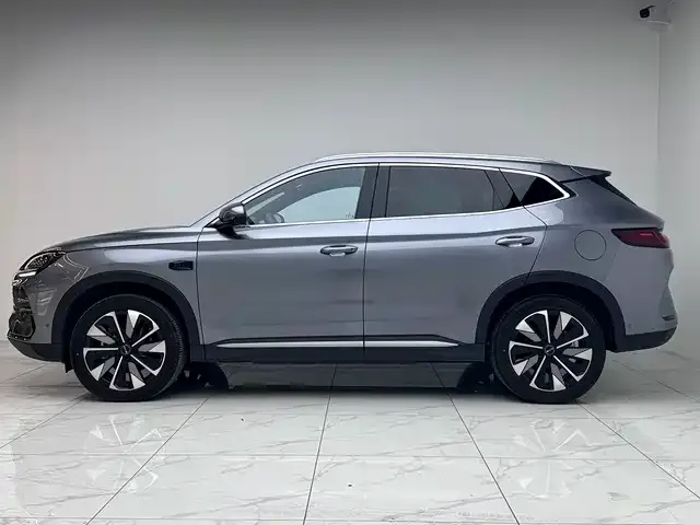 BYD PLUS New Energy 2025 из CN, фото 10