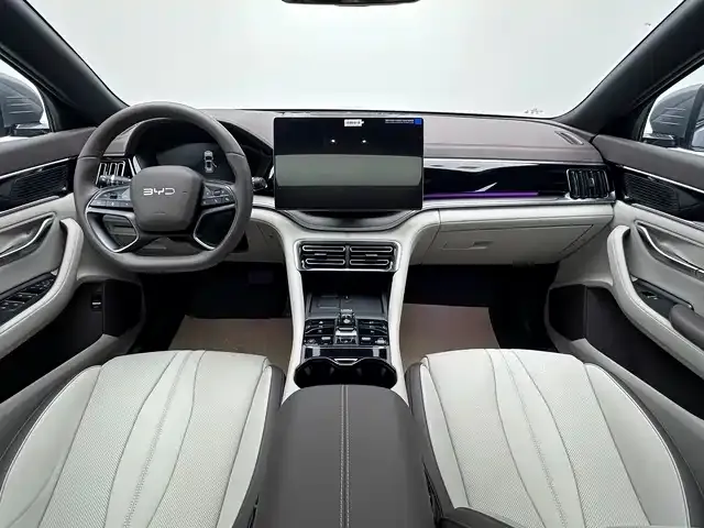 BYD PLUS New Energy 2025 из CN, фото 8
