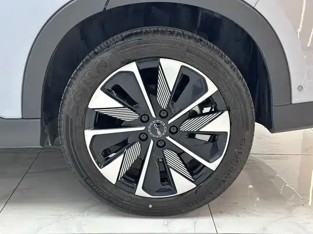 BYD PLUS New Energy 2025 из CN, фото 3