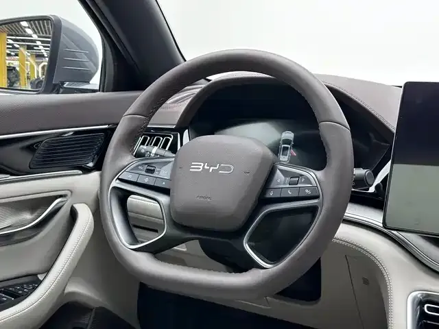 BYD PLUS New Energy 2025 из CN, фото 2
