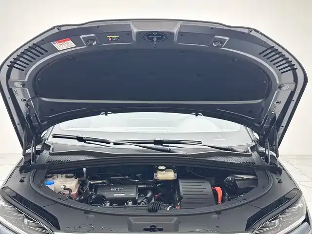 BYD PLUS New Energy 2025 из CN, фото 7