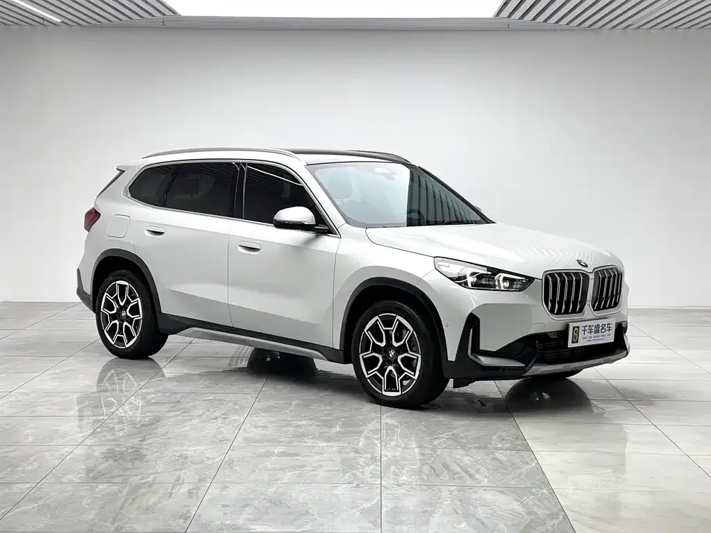 BMW X1 2024 из CN, фото 8