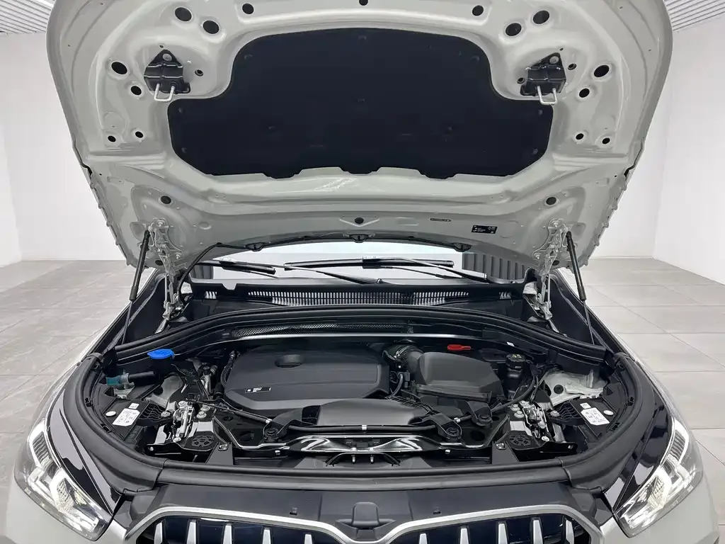 BMW X1 2024 из CN, фото 5