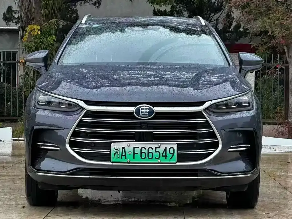 BYD Tang New Energy 2022 из CN, фото 10