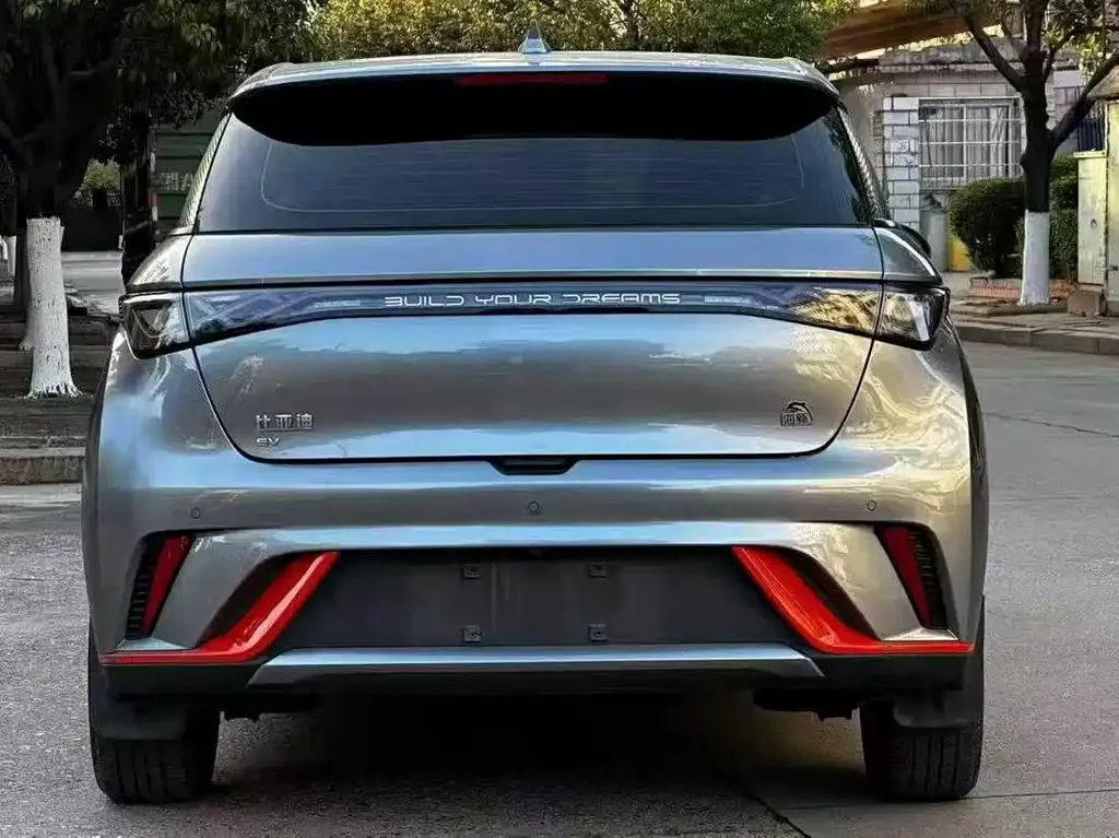 BYD Tang New Energy 2022 из CN, фото 4