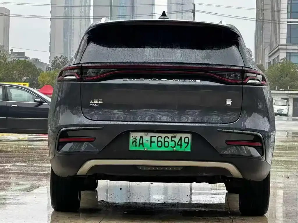 BYD Tang New Energy 2022 из CN, фото 3