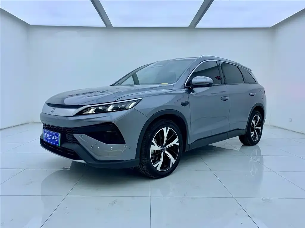 BYD Pro New Energy 2025 из CN, фото 1