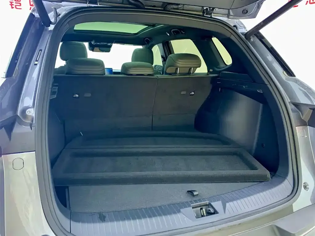BYD Pro New Energy 2025 из CN, фото 9