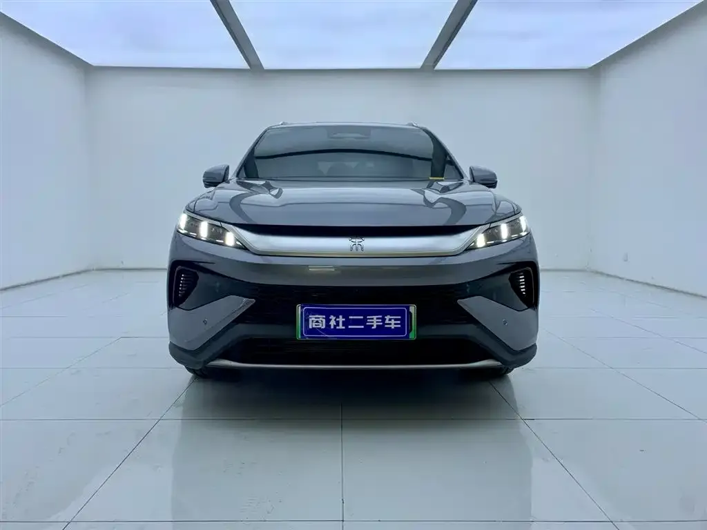 BYD Pro New Energy 2025 из CN, фото 2