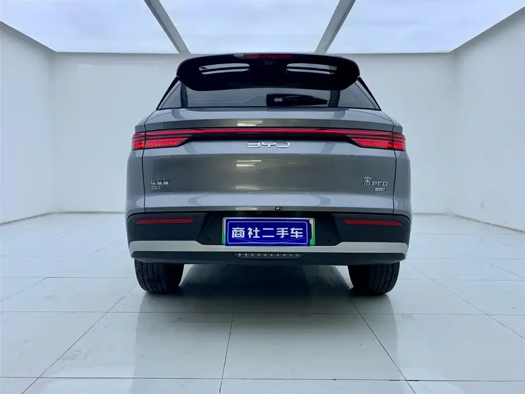 BYD Pro New Energy 2025 из CN, фото 3