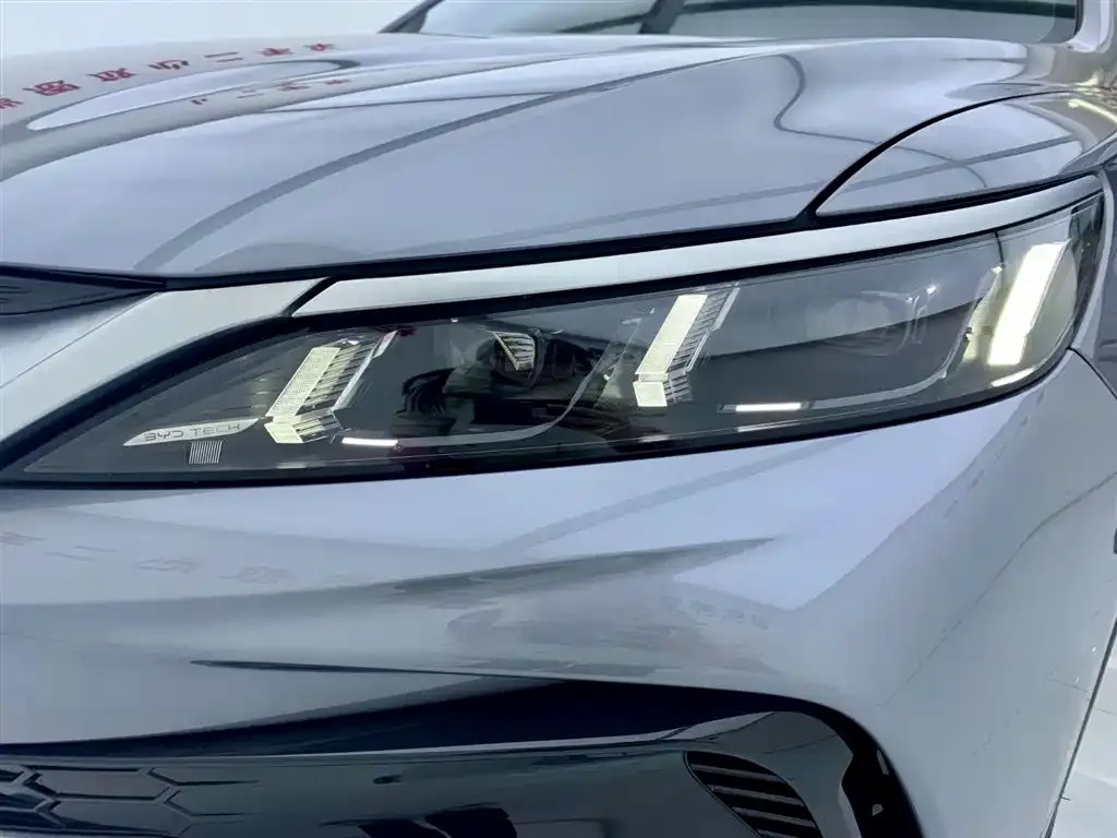BYD Pro New Energy 2025 из CN, фото 10