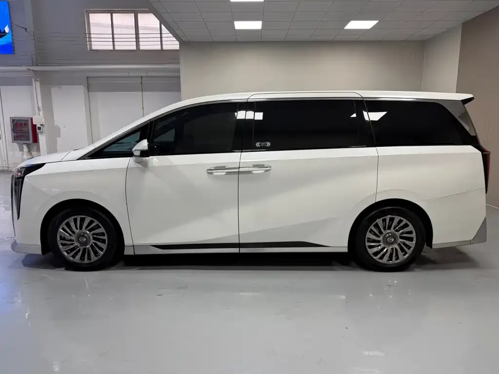 GAC Motor Trumpchi M8 2023 из CN, фото 6
