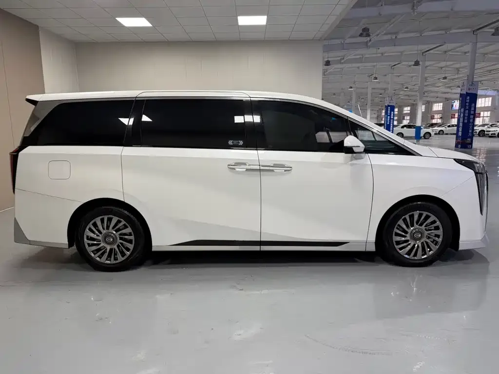 GAC Motor Trumpchi M8 2023 из CN, фото 10