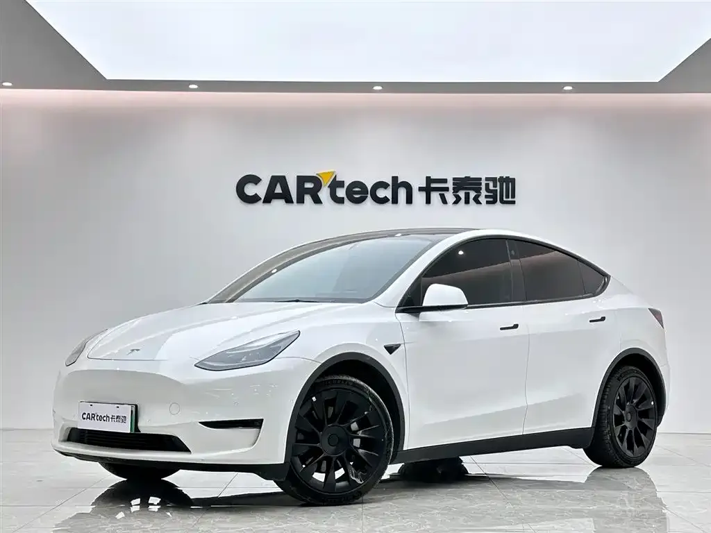 Tesla Model Y 2021 из CN, фото 1