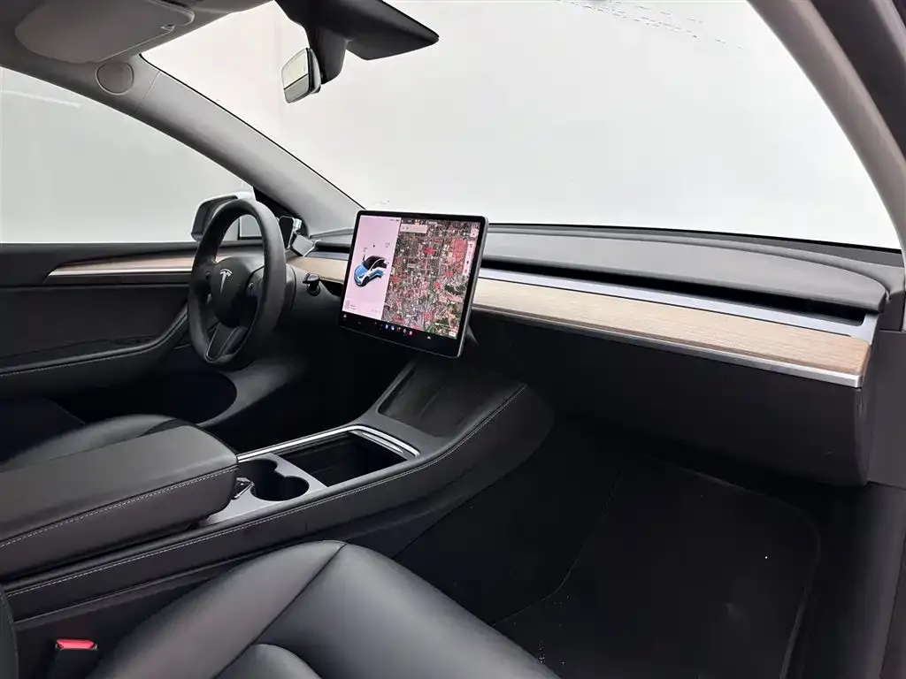 Tesla Model Y 2021 из CN, фото 7