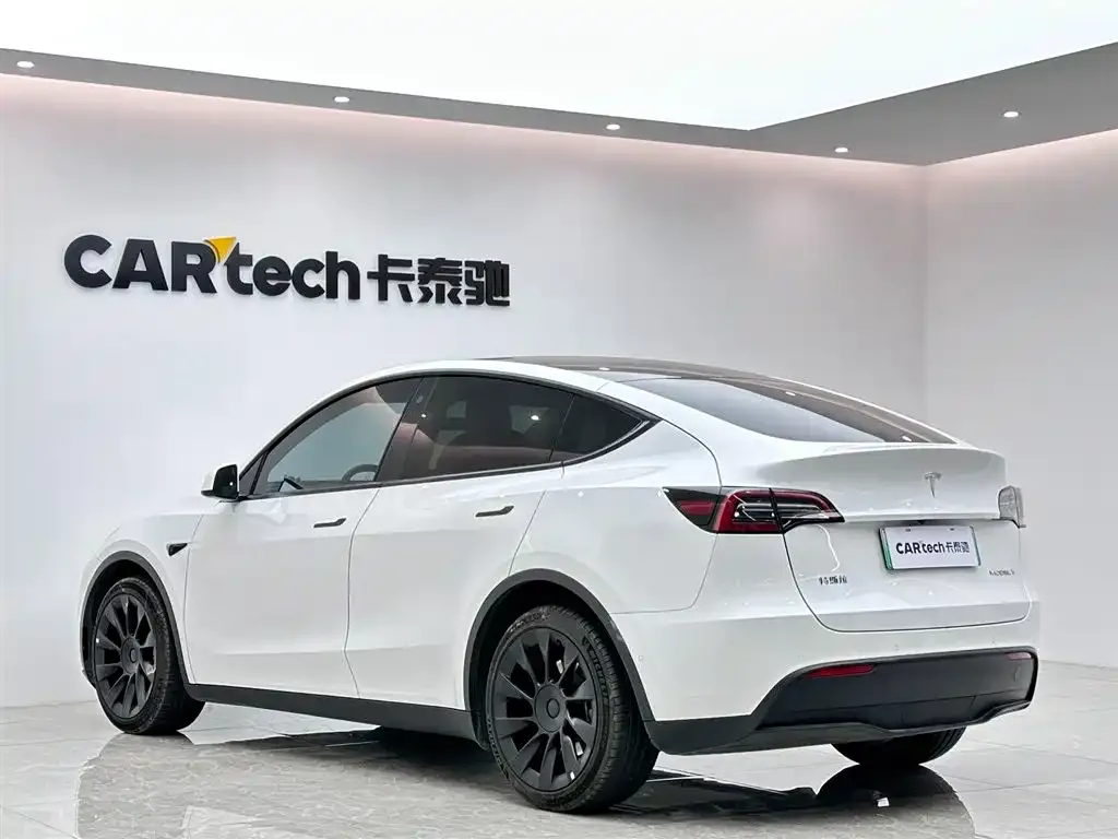 Tesla Model Y 2021 из CN, фото 9