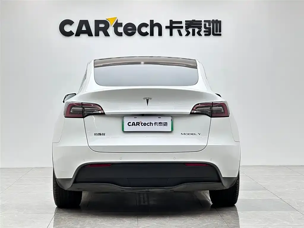 Tesla Model Y 2021 из CN, фото 6