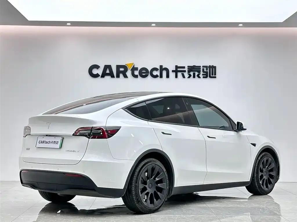 Tesla Model Y 2021 из CN, фото 3
