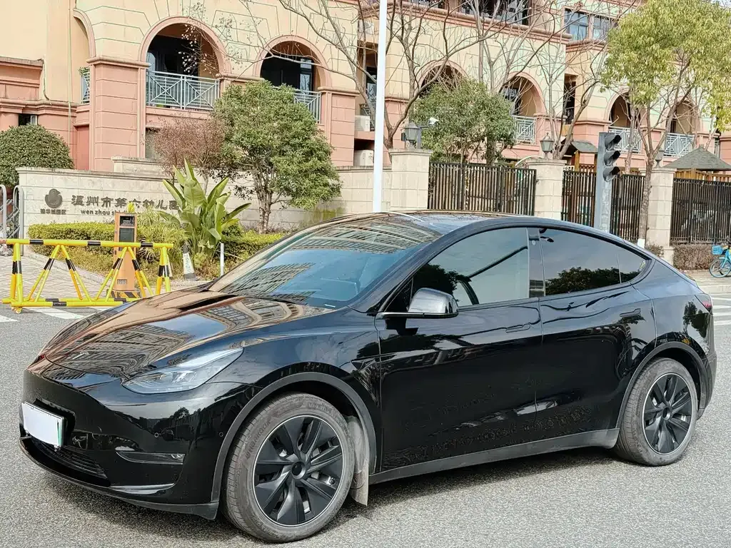 Tesla Model Y 2021 из CN, фото 1
