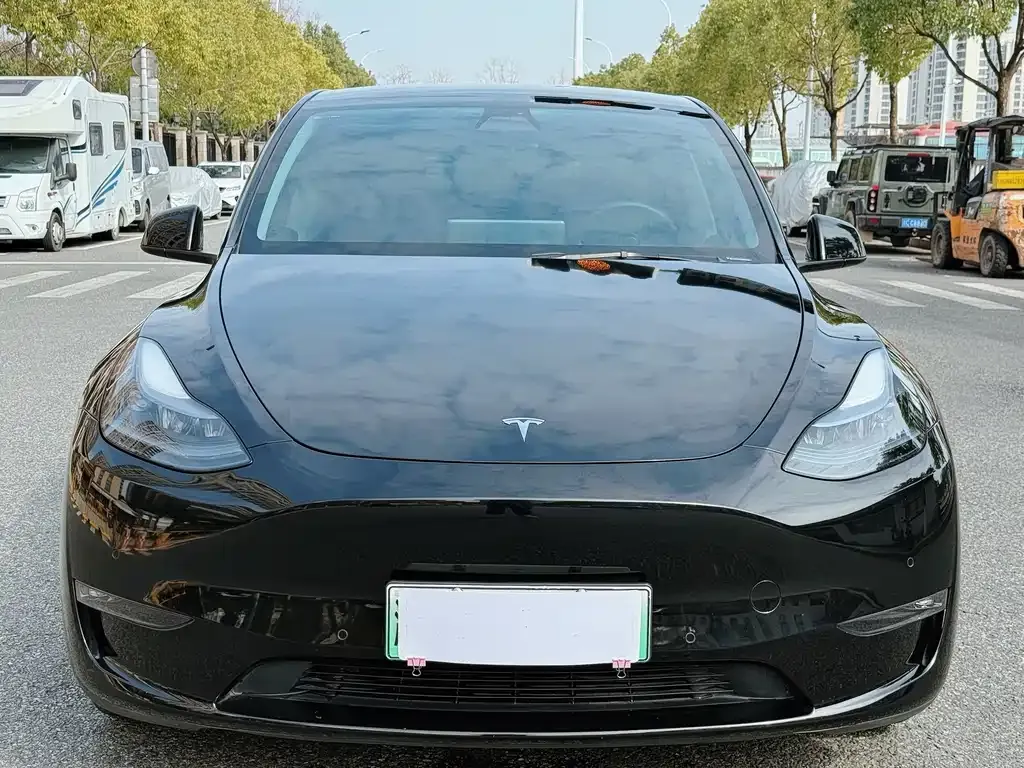 Tesla Model Y 2021 из CN, фото 8