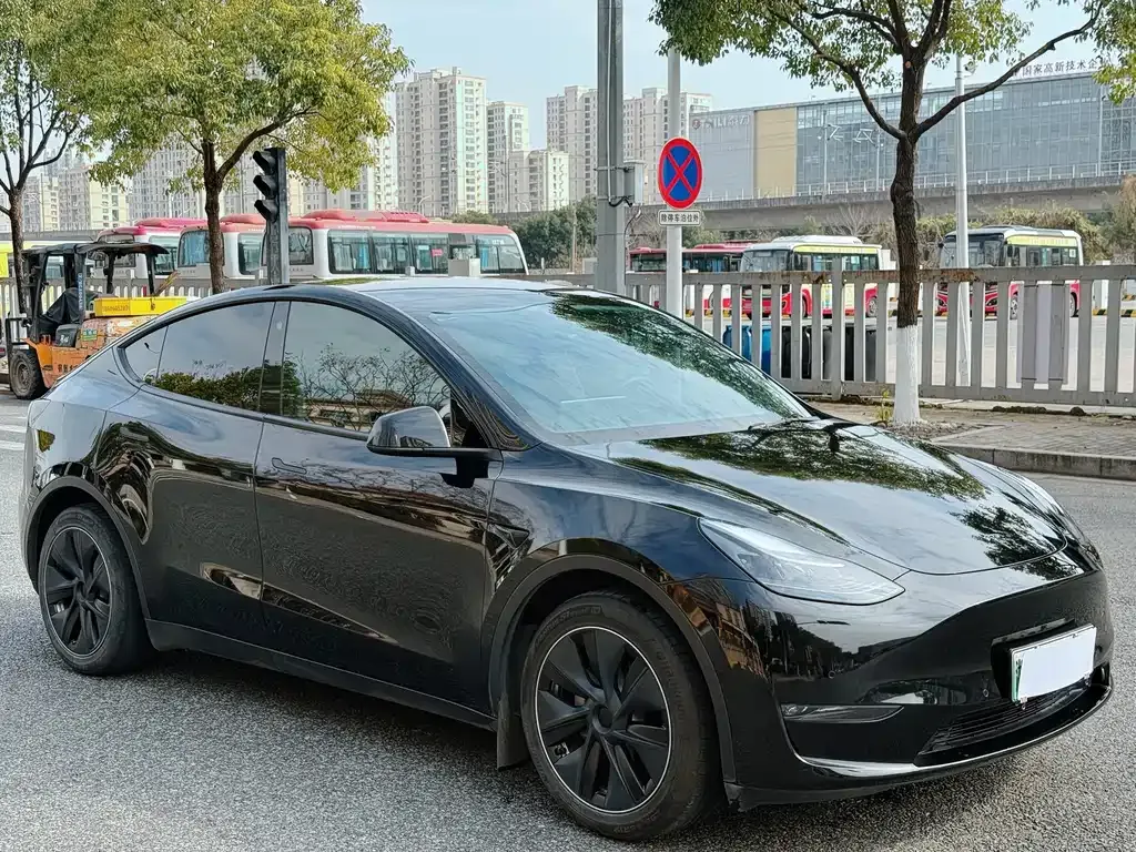 Tesla Model Y 2021 из CN, фото 10