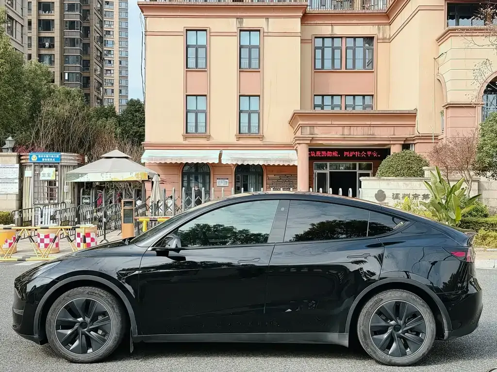 Tesla Model Y 2021 из CN, фото 7