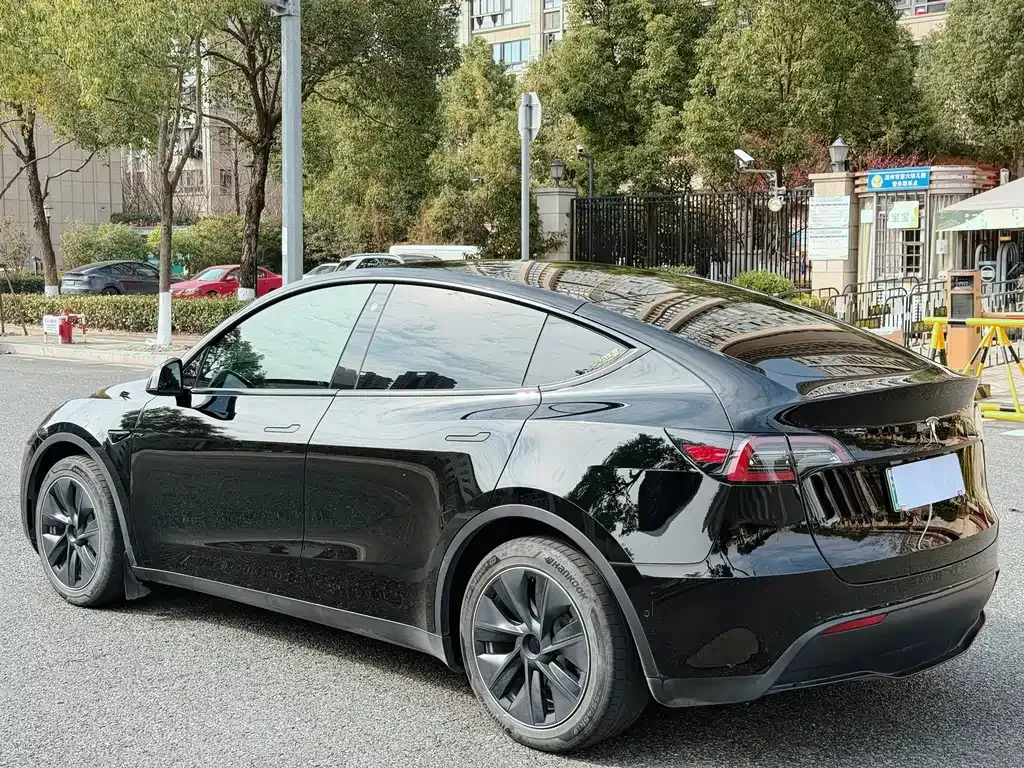 Tesla Model Y 2021 из CN, фото 9